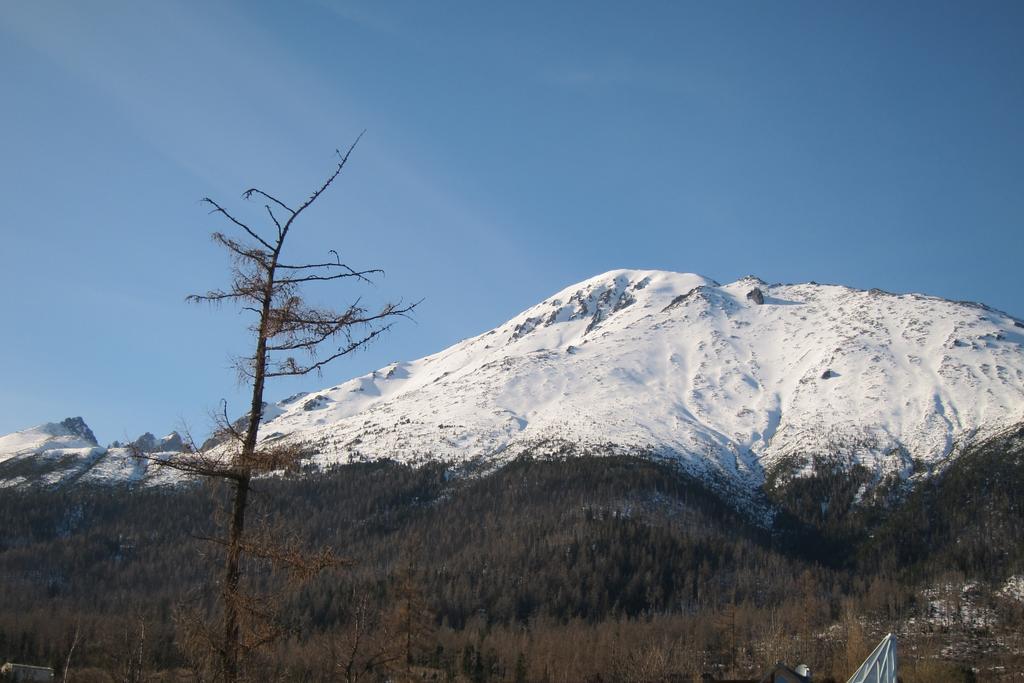 דירות Vysoké Tatry Apartman Novy Smokovec 75 חדר תמונה